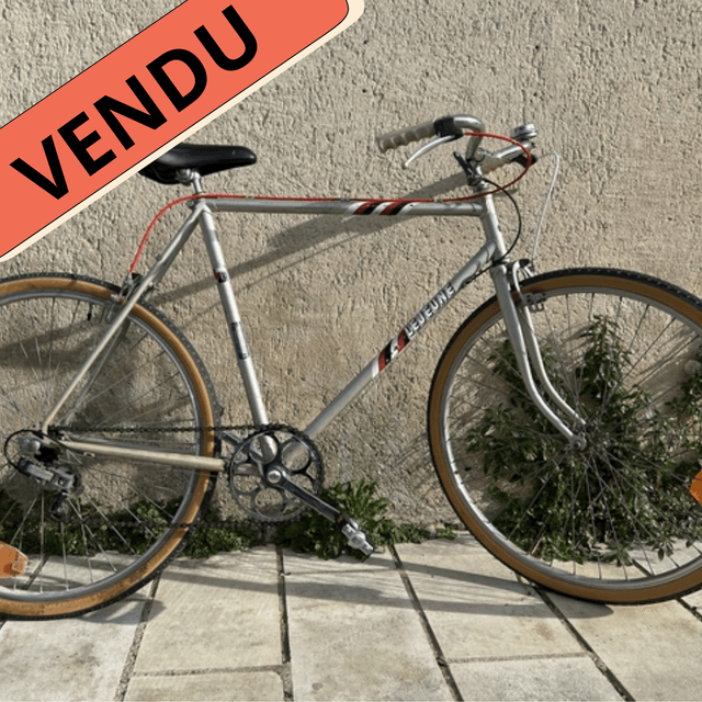 Léo - Vélo d'occasion